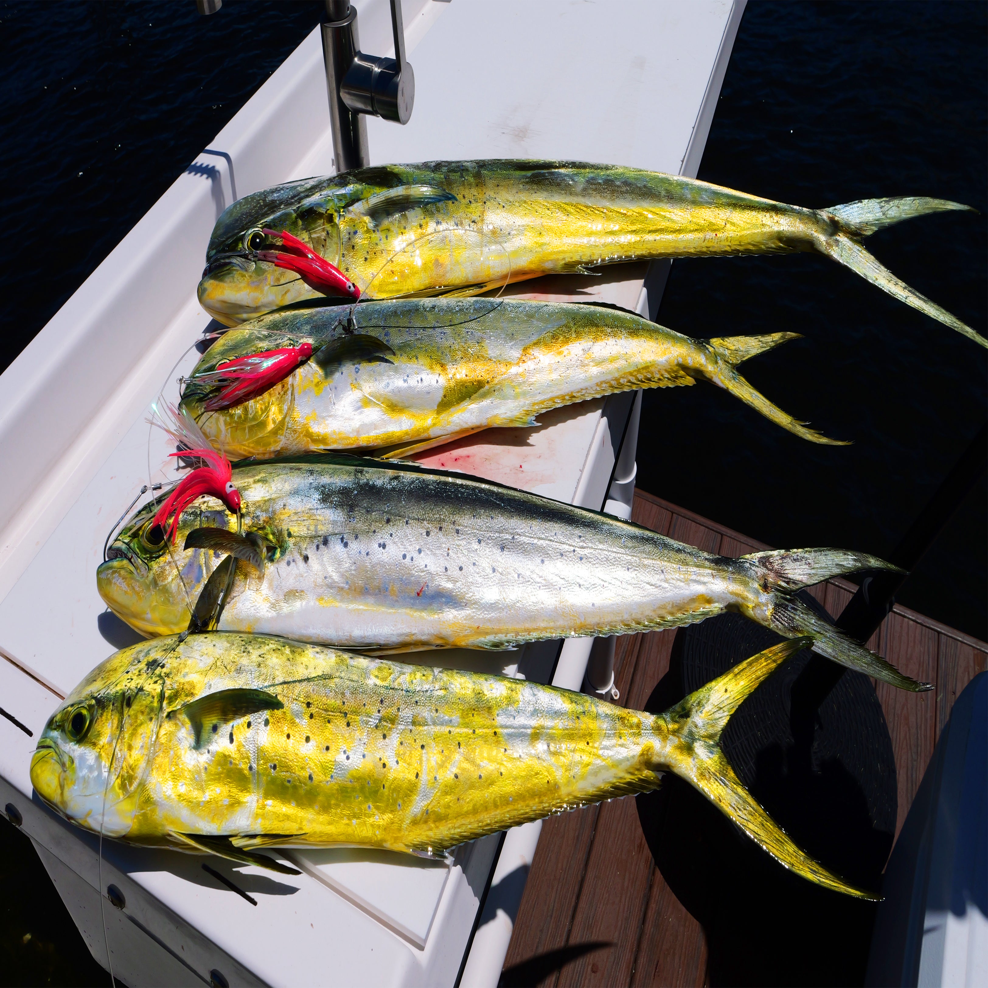 Mahi Striker Fishing Lure