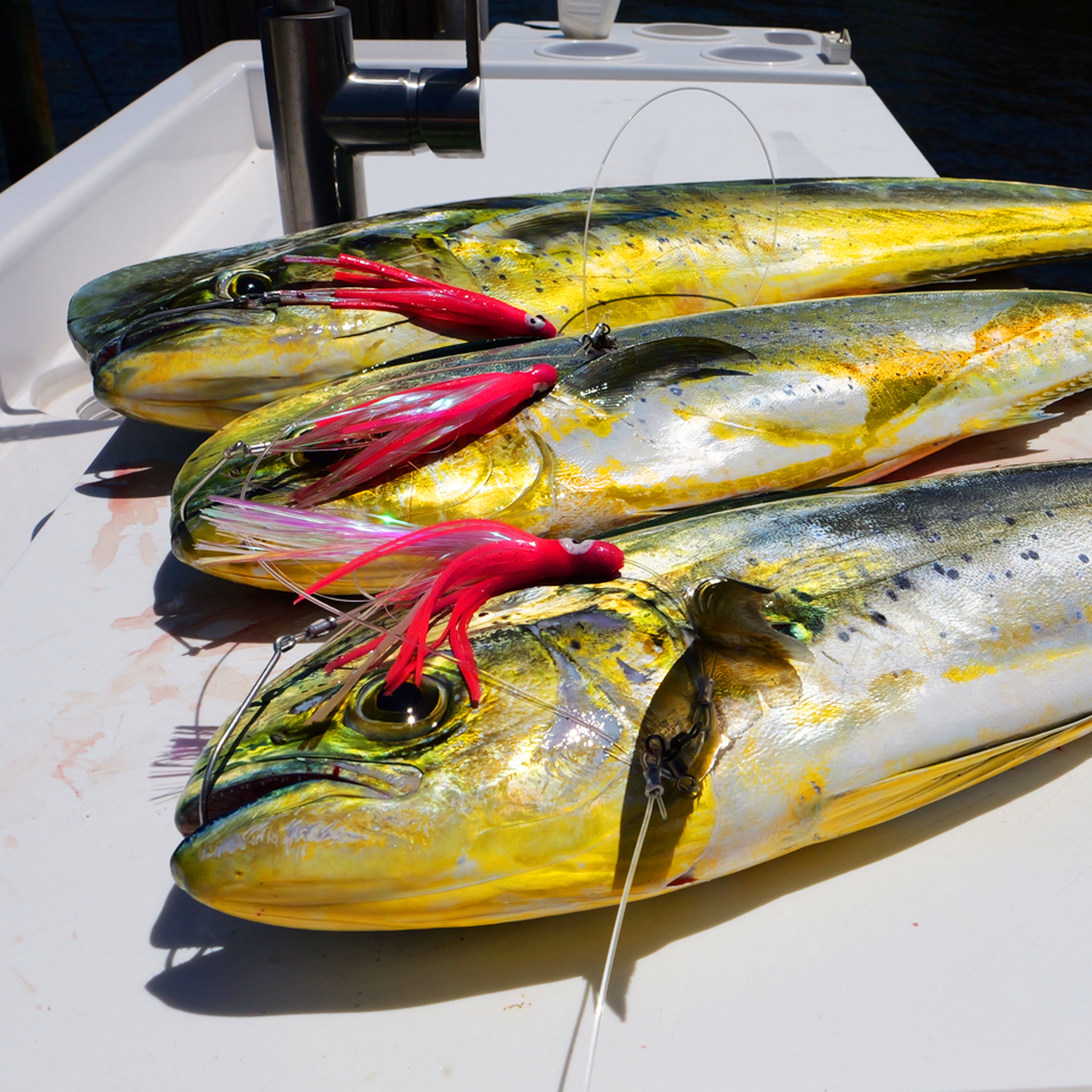 Mahi Striker Fishing Lure