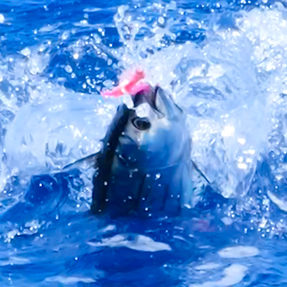 Tuna Striker Fishing Lure