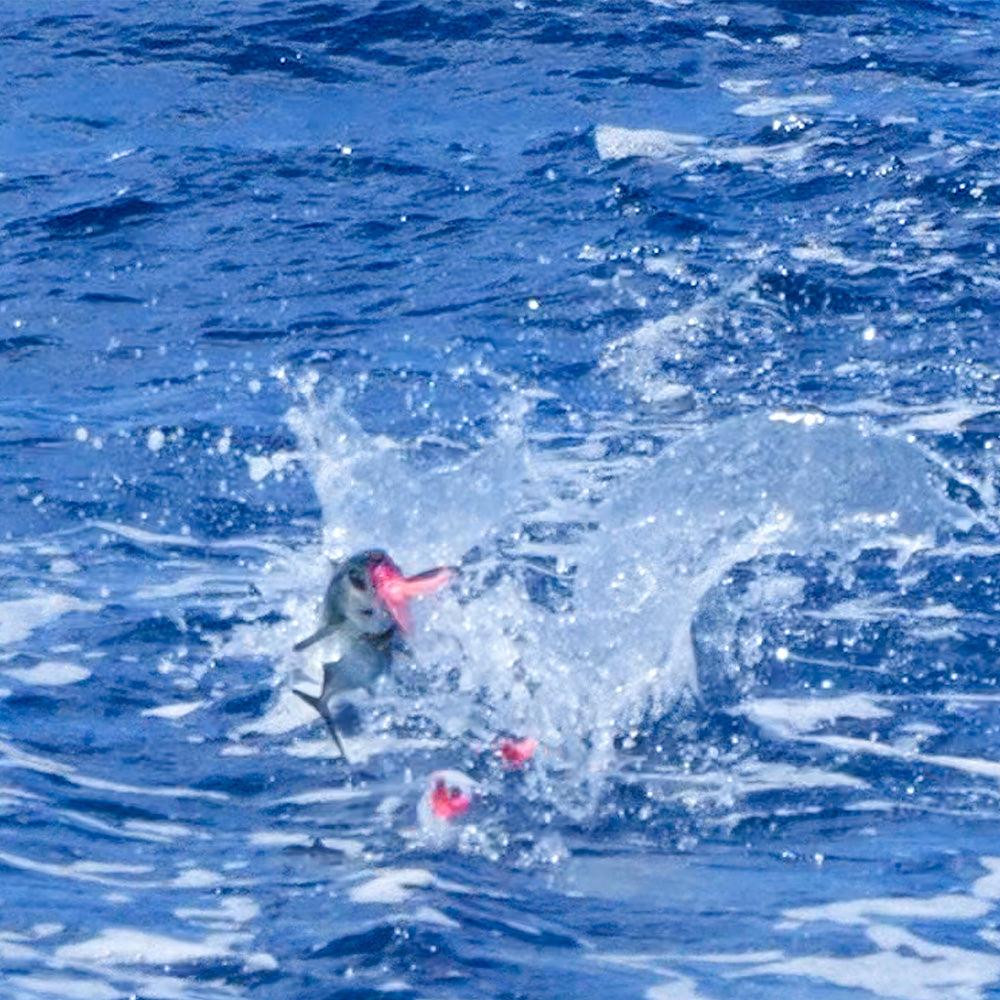 Tuna Striker Fishing Lure